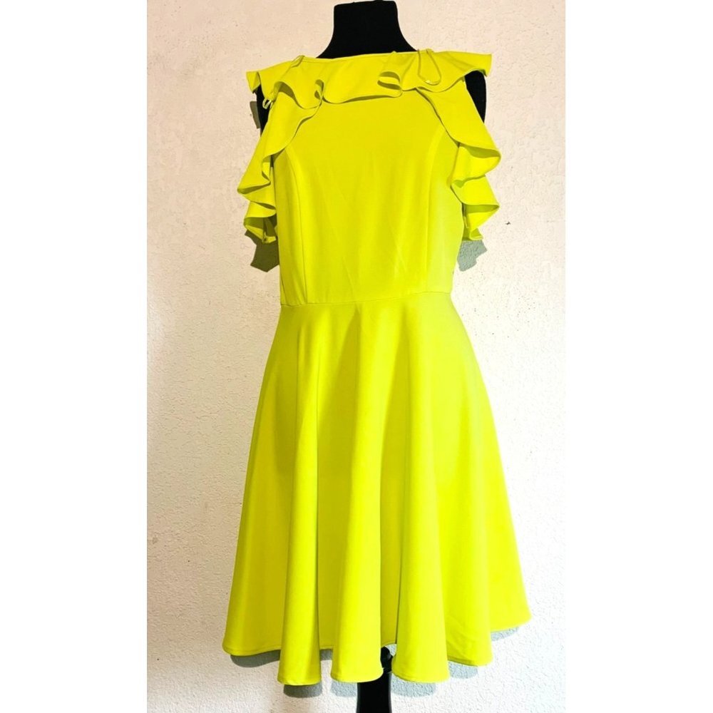 NICHOLE MILLER Sleeveless Green Fit and Flare Dress 10